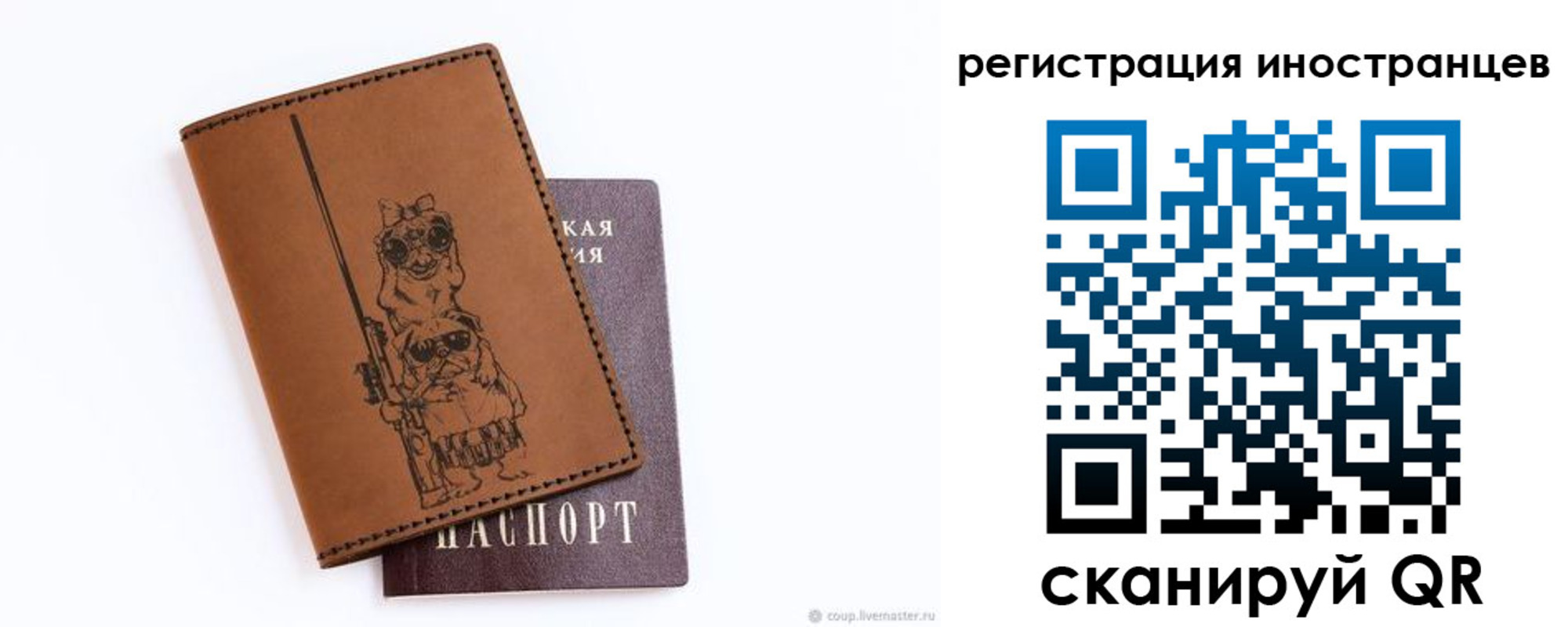 прописка гарантия в Донском